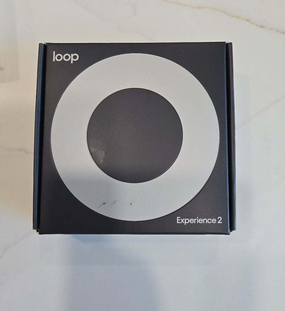 Loop Experience 2 Earplugs Silver